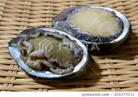 Abalone Abalone 103373511