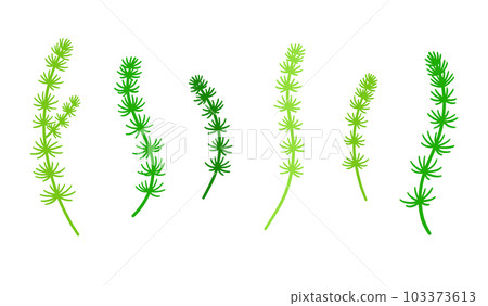 Set of various Matsumo 103373613