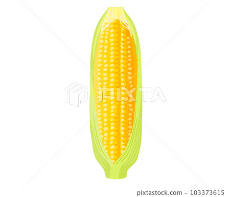 帶皮鮮玉米 103373615