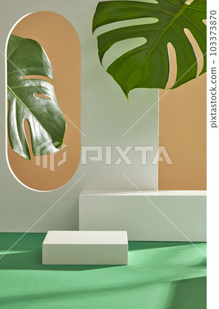 Front view of cylinder white podiums and green monstera leaves decorated on beige background. Empty space for display cosmetics products. Advertising photo with minimal concept. 103373870