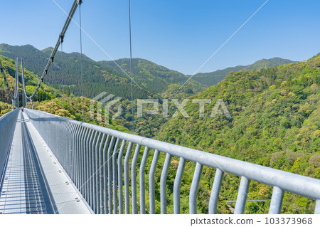 Scenery of Aya no Teruha Suspension Bridge Scenery of Aya no Teruha Suspension Bridge 103373968