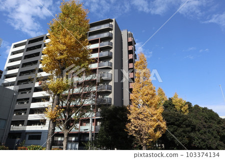 Omori Coast Townscape Omori Coast Townscape 103374134
