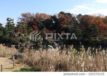Shinagawa Kumin Park Autumn leaves Shinagawa Kumin Park Autumn leaves 103374135