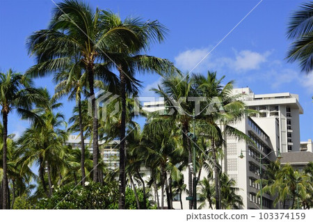 Hawaii Honolulu Kalakaua Avenue cityscape 103374159