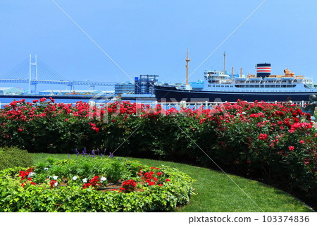 【神奈川縣】山下公園、橫濱海灣大橋、冰川丸的玫瑰 【神奈川縣】山下公園、橫濱海灣大橋、冰川丸的玫瑰 103374836