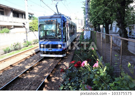 Toden Arakawa Line train (near Arakawa Ichichu-mae stop) 103375575