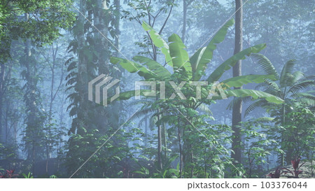inside a rainforest covered in bright green moss 103376044