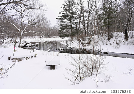 冬季的奧日光噴泉池 103376288