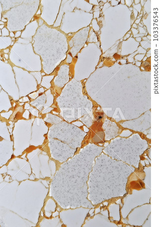 精美花紋石材背景素材“AI生成圖像” 103376543