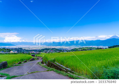 [夏季素材]從中野梯田看到的富士山[山梨縣] 103376840