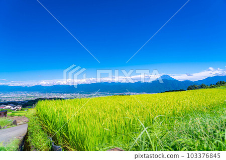 [Summer material] Mt.Fuji seen from terraced rice fields in Nakano [Yamanashi Prefecture] 103376845