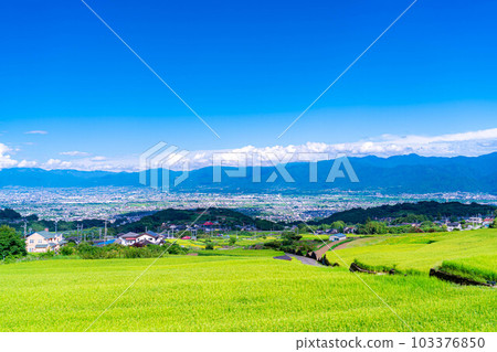 [Summer material] Mt.Fuji seen from terraced rice fields in Nakano [Yamanashi Prefecture] 103376850