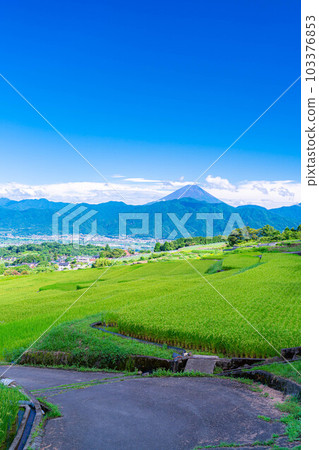 [夏季素材]從中野梯田看到的富士山[山梨縣] 103376853