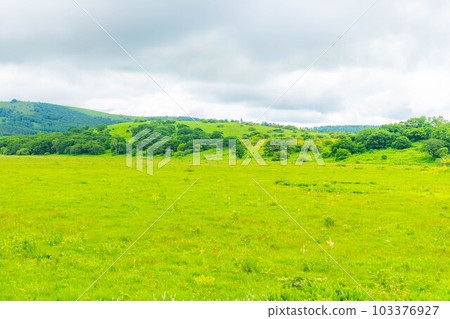 [夏季材料]天空中的濕地/夏季的八島原濕地[長野縣] 103376927