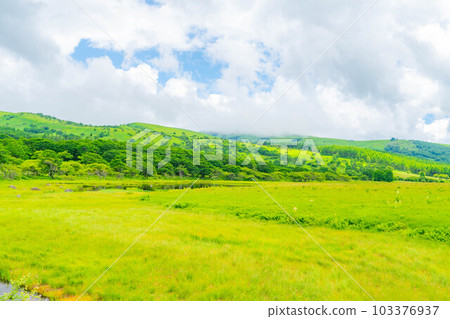 [Summer material] Wetlands in the sky/Yashimagahara wetlands in summer [Nagano Prefecture] 103376937