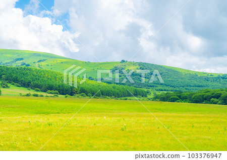 [Summer material] Wetlands in the sky/Yashimagahara wetlands in summer [Nagano Prefecture] 103376947