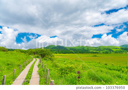 [Summer material] Wetlands in the sky/Yashimagahara wetlands in summer [Nagano Prefecture] 103376950