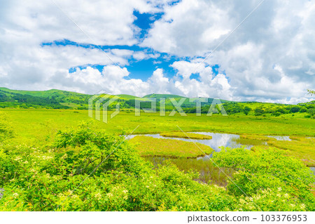 [Summer material] Wetlands in the sky/Yashimagahara wetlands in summer [Nagano Prefecture] 103376953
