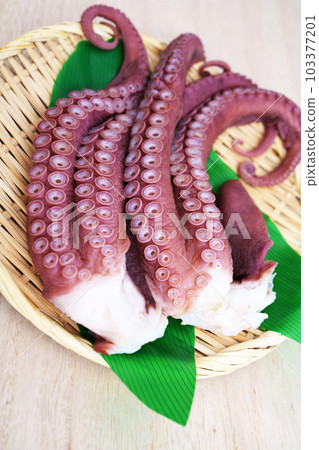 水煮章魚 103377201