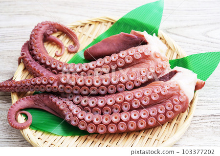 Boiled octopus 103377202