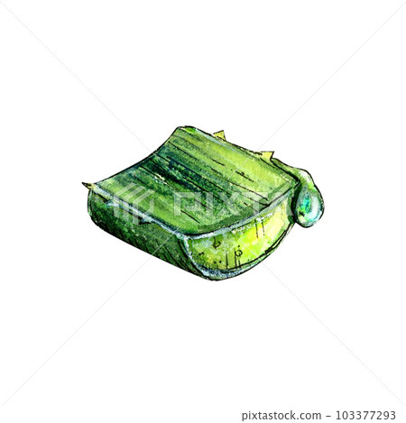 Watercolor drawing of aloe vera chopped leaf on white background. Realistic detailed sketch for illustration, reference, card, encyclopedia, printing, packaging, label, tags. Fresh cut with juice drop 103377293