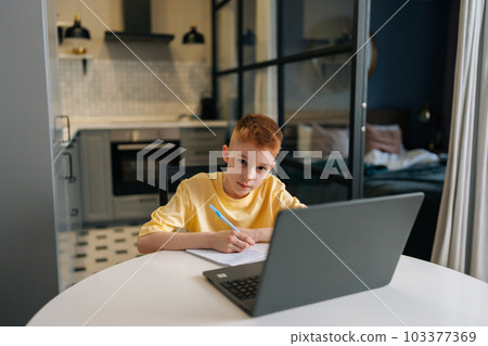 Portrait of handsome redhead pupil boy studying at home writing in exercise book doing homework, learning at home table, looking at camera. Smart schoolboy with freckles studying, reading textbook 103377369