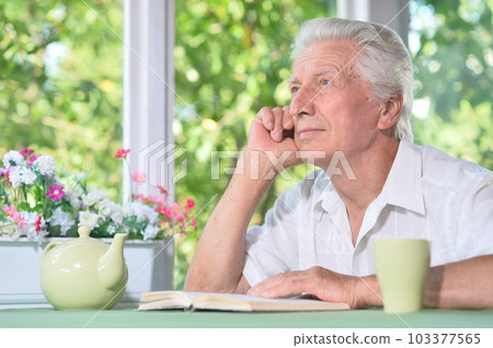 Beautiful elderly woman reads a book at the country house 103377565