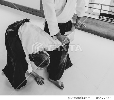 People practicing aikido in a dojo background. 103377858