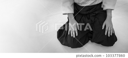 Woman practicing aikido in a dojo background. 103377860