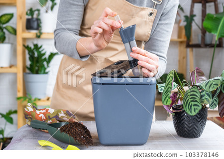 Pot for plants with automatic watering, transplanting Calathea into a double pot, watering from a watering can, assembling a water tank. Pot for plants with automatic watering, transplanting Calathea into a double pot, watering from a watering can, assembling a water tank. 103378146