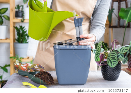 Pot for plants with automatic watering, transplanting Calathea into a double pot, watering from a watering can, assembling a water tank. Pot for plants with automatic watering, transplanting Calathea into a double pot, watering from a watering can, assembling a water tank. 103378147