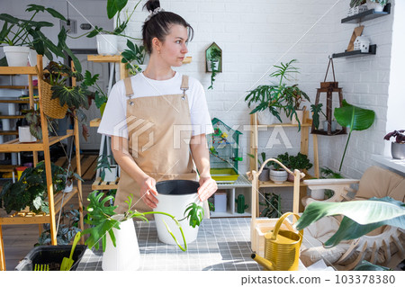 Woman in an apron holds a pot with a double bottom and automatic watering for planting rooted cuttings of the house plant philodendron mayo. Planting and care, green house. Mock up, drainage liner Woman in an apron holds a pot with a double bottom and automatic watering for planting rooted cuttings of the house plant philodendron mayo. Planting and care, green house. Mock up, drainage liner 103378380