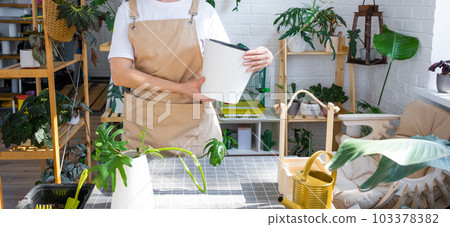 Woman in an apron holds a pot with a double bottom and automatic watering for planting rooted cuttings of the house plant philodendron mayo. Planting and care, green house. Mock up, drainage liner 103378382