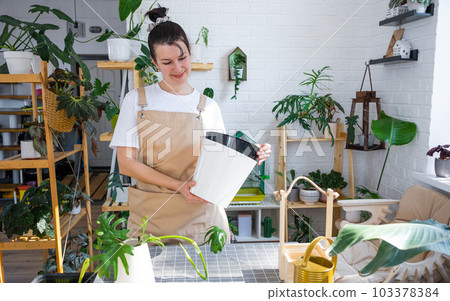 Woman in an apron holds a pot with a double bottom and automatic watering for planting rooted cuttings of the house plant philodendron mayo. Planting and care, green house. Mock up, drainage liner 103378384