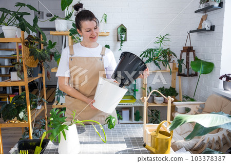 Woman in an apron holds a pot with a double bottom and automatic watering for planting rooted cuttings of the house plant philodendron mayo. Planting and care, green house. Mock up, drainage liner 103378387