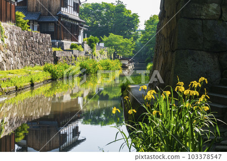 Omihachiman of fresh green 103378547