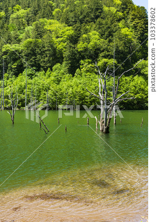 新鮮的綠色天然湖 新鮮的綠色天然湖 103378602