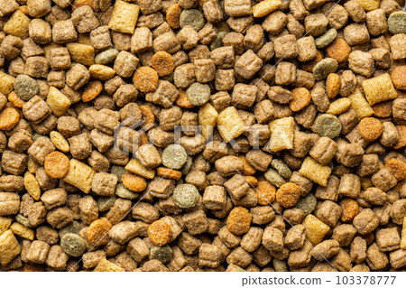 Dry kibble pet food. Dog or cat food. Top view. 103378777
