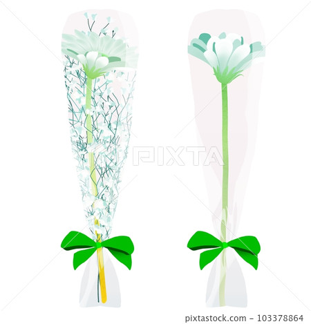 單束白色非洲菊 103378864