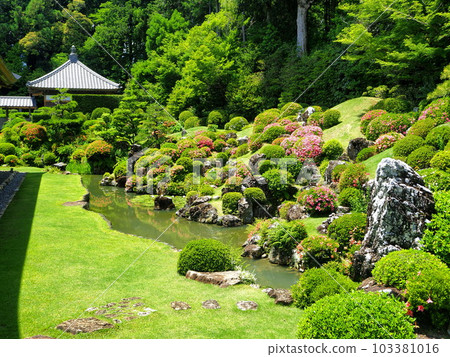 靜岡縣遠州古寺龍谷寺五月盛開 靜岡縣遠州古寺龍谷寺五月盛開 103381016