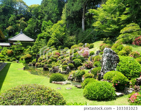 靜岡縣遠州古寺龍谷寺五月盛開 靜岡縣遠州古寺龍谷寺五月盛開 103381023