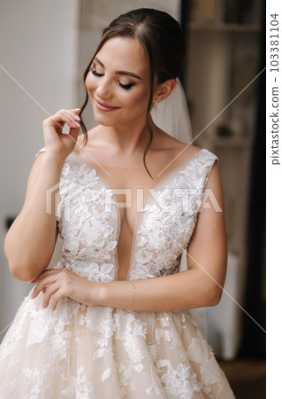 Gorgeous bride on her wedding day. Portrait of bride with elegant make-up and beautiful headdress Gorgeous bride on her wedding day. Portrait of bride with elegant make-up and beautiful headdress 103381104