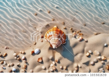Shells on the sand and sea water, generative ai 103381639
