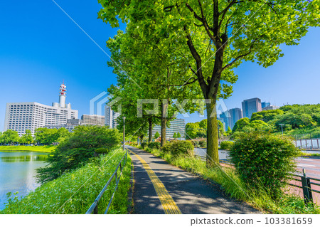 Tokyo cityscape in Japan Early midsummer day…Fresh green, government district (Metropolitan Police Department, Kasumigaseki Common Gate), Uchibori Street, etc. = May 17 Tokyo cityscape in Japan Early midsummer day…Fresh green, government district (Metropolitan Police Department, Kasumigaseki Common Gate), Uchibori Street, etc. = May 17 103381659