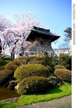 春天的花卷城時鐘和染井吉野 春天的花卷城時鐘和染井吉野 103381792