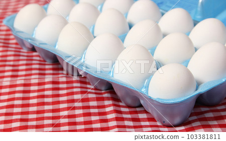 Carton of Eggs on Rustic Table With Checkered Table Cloth Carton of Eggs on Rustic Table With Checkered Table Cloth 103381811