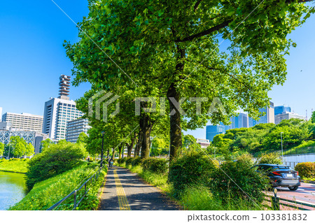 Tokyo cityscape in Japan Fresh green, early midsummer day. Government offices (Metropolitan Police Department, Kasumigaseki Common Gate), Uchibori Street, etc. = May 17 103381832