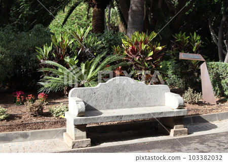 Stone bench along the alley in Garcia Sanabira public park, Santa Cruz de Tenerife Stone bench along the alley in Garcia Sanabira public park, Santa Cruz de Tenerife 103382032
