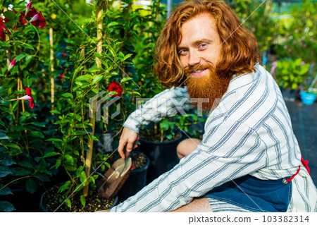 young redhaired ginger bearded man in apron working in the garden or plantation 103382314