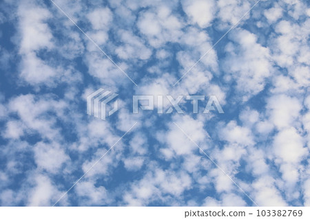 sky 103382769